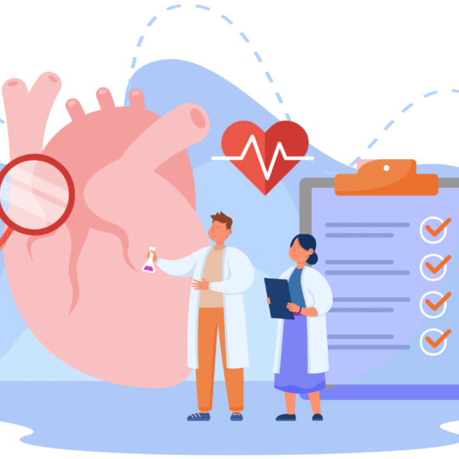 Blood pressure and heart rate in humans